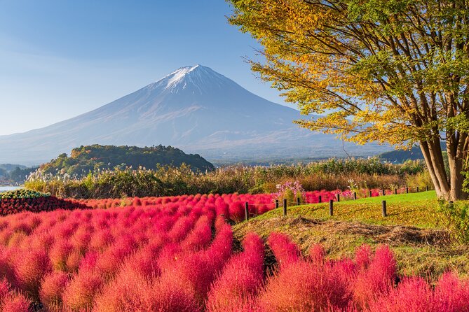 Private Day Tour From Tokyo: Customized Mount Fuji Highlights - Important Considerations