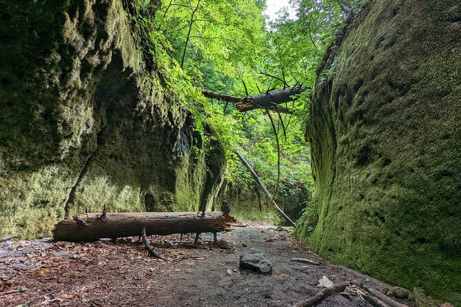 Private Day Trip of Lake Shikotsu and Moss Canyon - Frequently Asked Questions