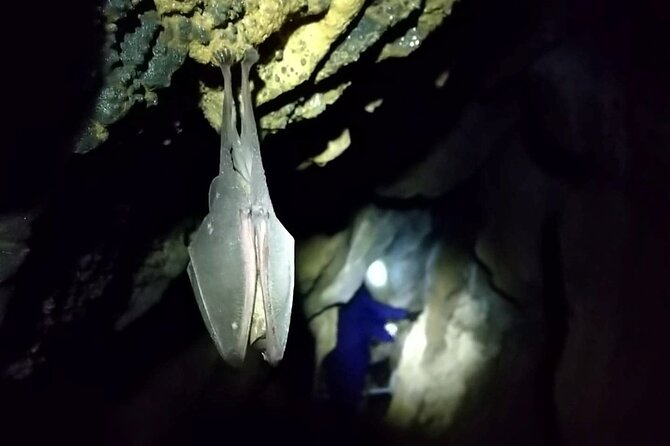 Private Ninja Training in a Cave in Hidaka - Tips for Participants