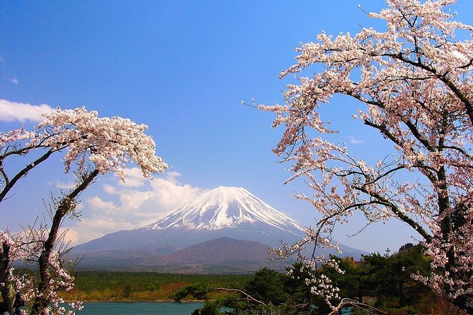 Private Transport Mt Fuji and Hakone 1 Day Trip - Communication and Support Options