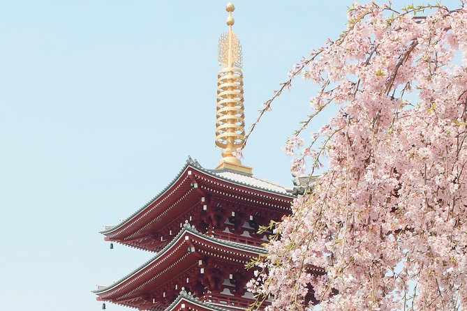 Private & Unique Kyoto Cherry Blossom Sakura Experience - Additional Features and Benefits