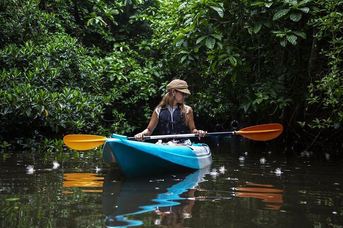 Sagaribana SUP / Canoe Tour Early in the Morning (Limited From June to August) - Booking and Communication Details