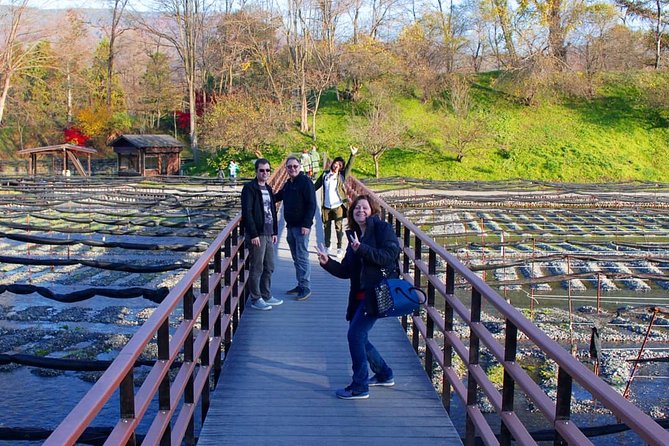 Wasabi Farm Discovery Walking Tour - How to Book