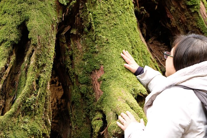 Forest Bathing in Temple and Enjoy Onsen With Healing Power - Tips for a Great Experience