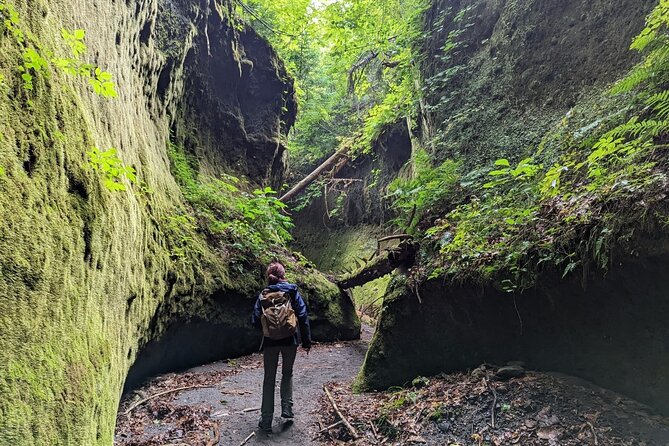 Private Day Trip of Lake Shikotsu and Moss Canyon - Final Words