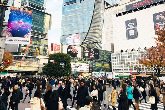 Private Full-day Tokyo Walking Subway Tour by Japan Gray Line - Preparation Tips