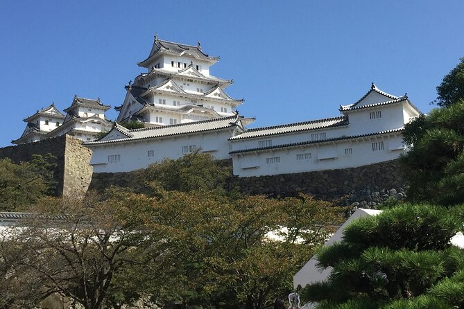 Full-Day Private Guided Tour to Himeji and Kobe Cities - Key Points