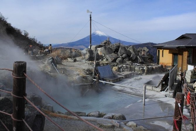 Hakone Full-Day Private Tour - Overview of the Tour