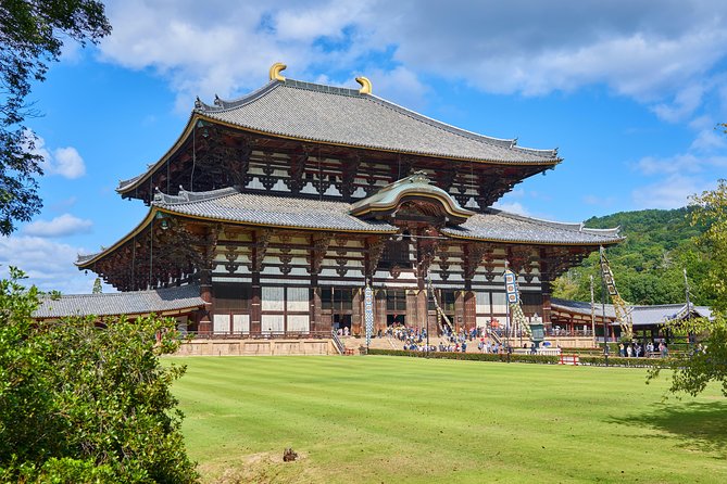 Nara Custom Full Day Tour - Key Points