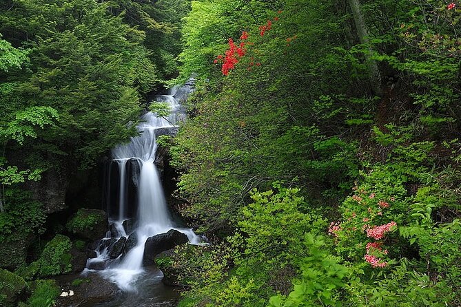 Nikko City Private Day Tour With English Speaking Driver - Just The Basics