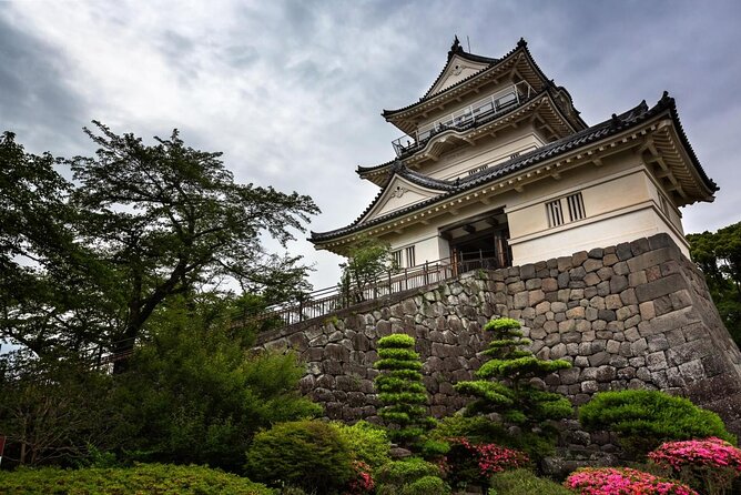 Odawara Castle and Town Guided Discovery Tour - Just The Basics