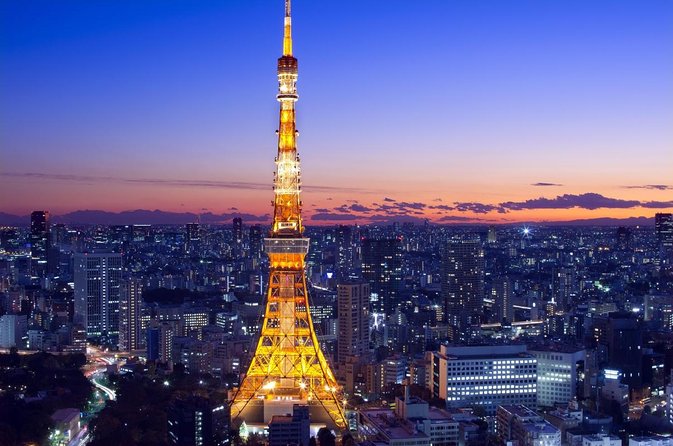 Private Tokyo Custom Full-Day Tour by Chartered Vehicle - Key Points