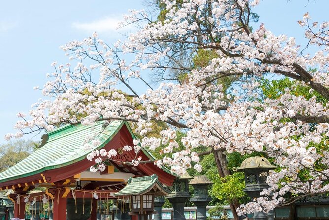 Ueno Food Tour With A Local Master Guide Fully Customized - Key Points