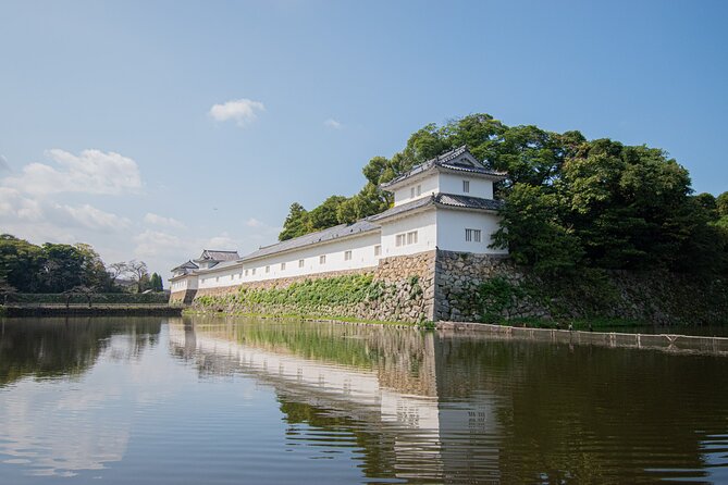 Hikone Bike Half-Day Tour Through a Castle Town Near Kyoto, Osaka