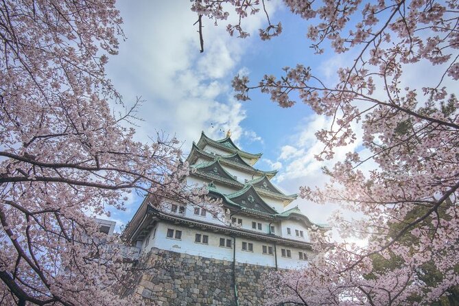 Private & Unique Nagoya Cherry Blossom Sakura Experience