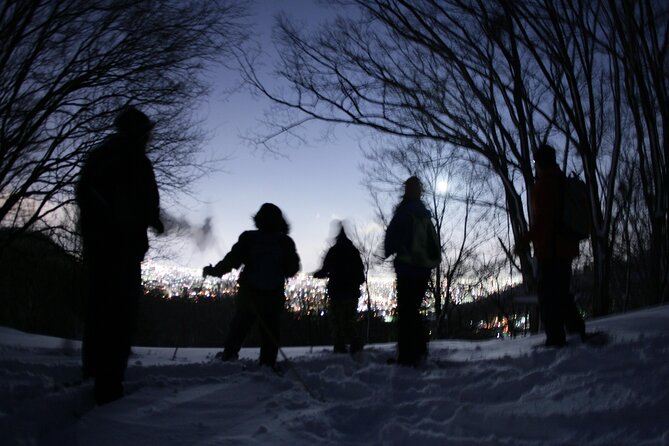 Sapporo Night Hike and Night View Private Guided Experience