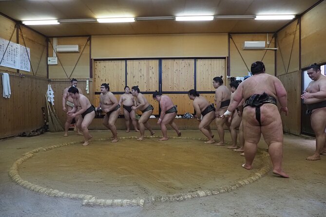 Sumo Morning Training Watch in Osaka