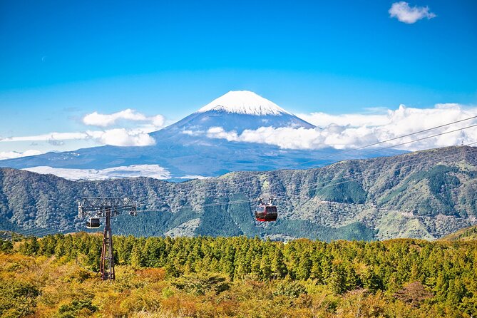 Best Mt Fuji and Hakone Full-Day Bus Tour From Tokyo - Highlights of the Itinerary