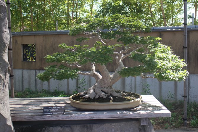 Bonsai Museum & Bonsai Experience - Pricing and Payment Details