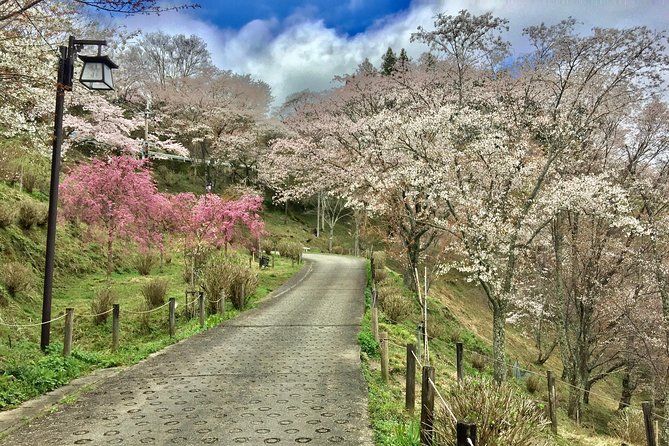 Full-Day Private Guided Tour in a Japanese Mountain: Yoshino, Nara - Itinerary Highlights