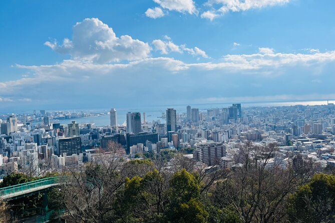 Full Day Walking Tour Around Kobe Mountains Sea and Sake - Meeting Point Details