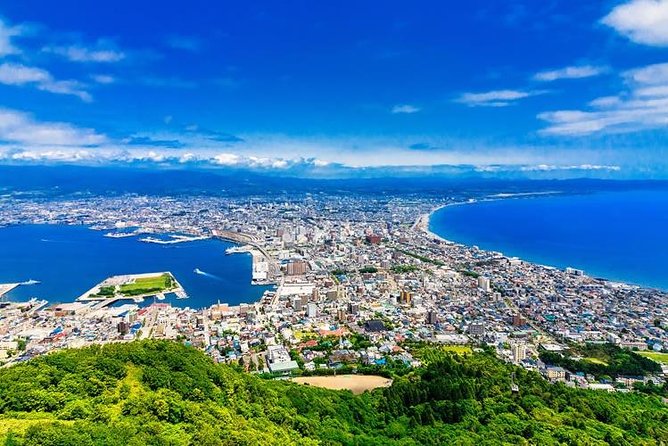 Hakodate Half-Day Private Tour With Government-Licensed Guide - Customizable Itinerary Options