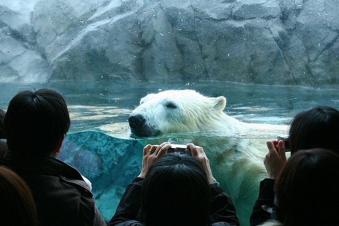 Hokkaido Asahiyama Zoo,Furano and Biei English/Chinese Bus Tour - Transportation Details