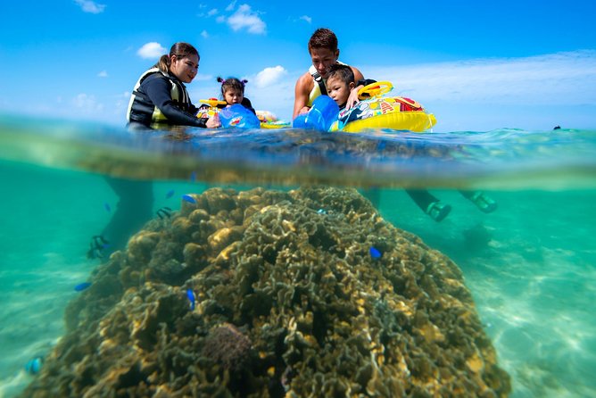 OK From 2 Years Old! / Sea Picnic & Snorkel - Meeting and End Point