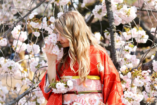 Private Kimono Photo Tour in Tokyo - Kimono Options and Accessories