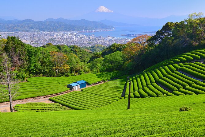 Private Sightseeing Tour in Shimizu Port by Sedan Taxis - Highlights of the Itinerary