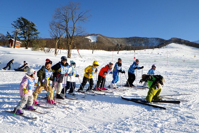 Private Ski Lesson for Family or Group(Transport Included ) - Meeting Point and Schedule