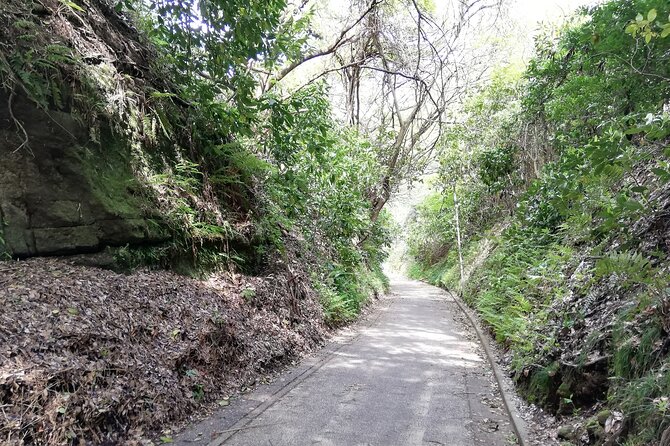 Private Tour From North Kamakura Temples & Shrine - Meeting and Pickup Information