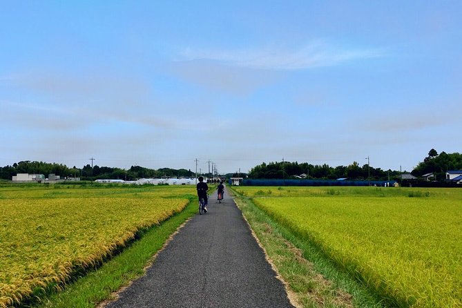 Rural Japan Cycling Tour to the Rich Nature Area in Ichinomiya - Itinerary and Activities