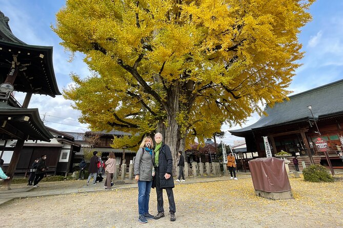 Takayama Local Cuisine, Food & Sake Cultural Tour With Government-Licensed Guide - Highlights of the Experience