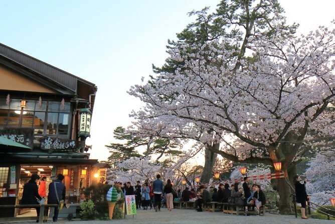 4 Hour Unique Kanazawa Cherry Blossom Sakura Private Experience - Culinary Delights Included