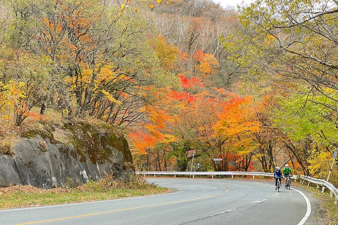 Akagi Mountain E-Bike Hill Climbing Tour - Fitness Requirements and Restrictions