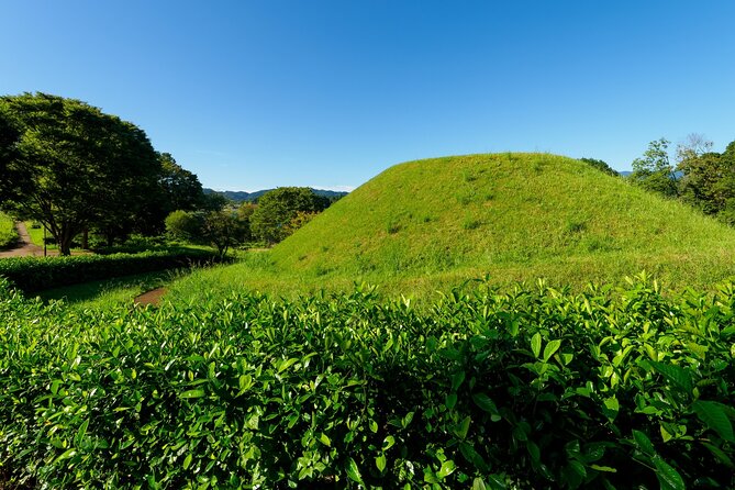 Ancient Nara Walking and Cycling Tour in Asuka - Traveler Requirements and Recommendations