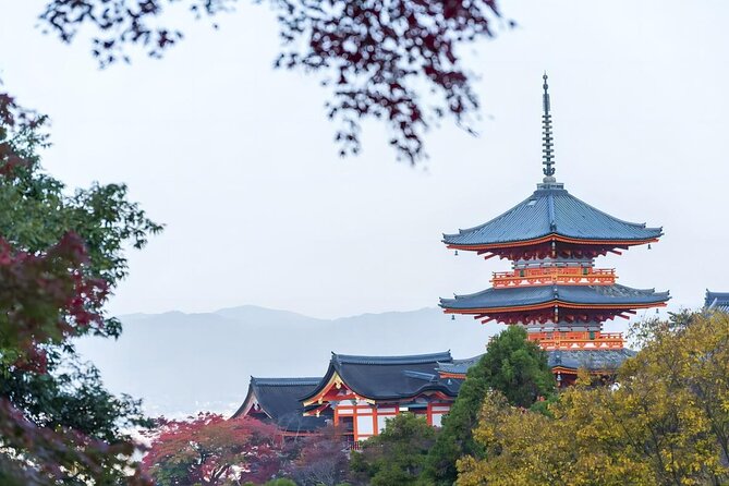 From Osaka: 10-hour Private Custom Tour to Kyoto - Highlights of Kyoto