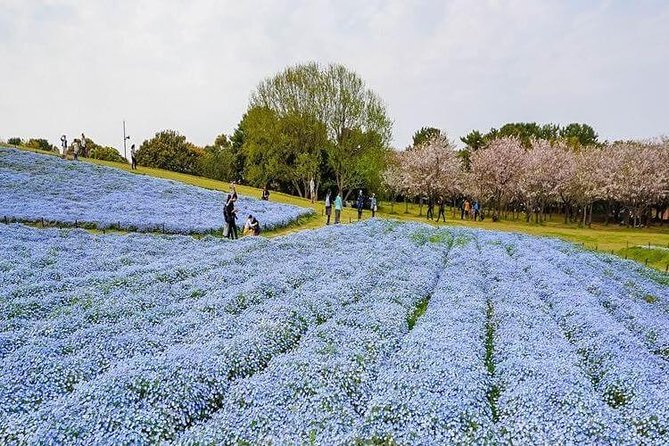 Fukuoka Custom Full Day Tour - Pricing Information