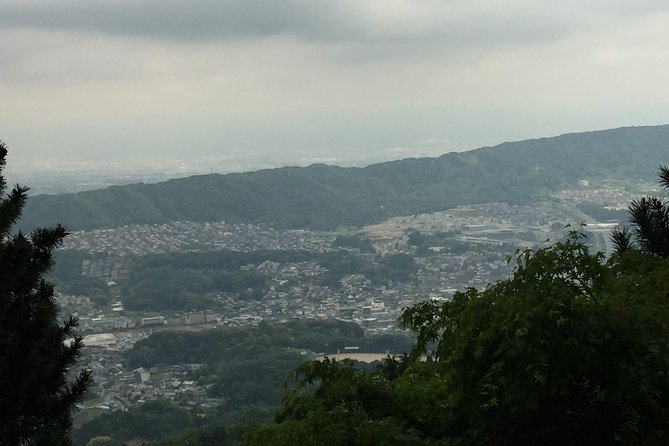 Full-Day Private Guided Tour to a Japanese Mountain Near Osaka: Ikoma - Accessibility Options