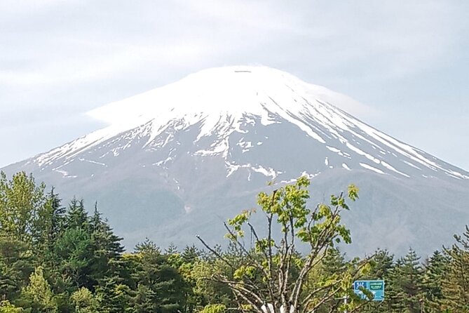 Full-day Private Mount Fuji Tour by Premium Car - Inclusions and Amenities