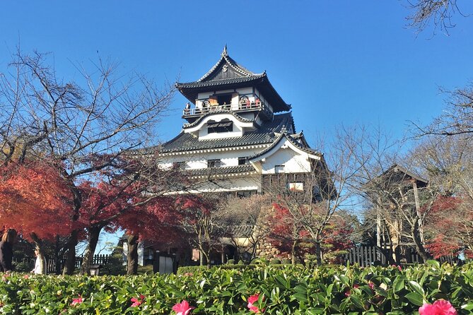 Half-Day Inuyama Castle and Town Tour With Guide - Accessibility Features