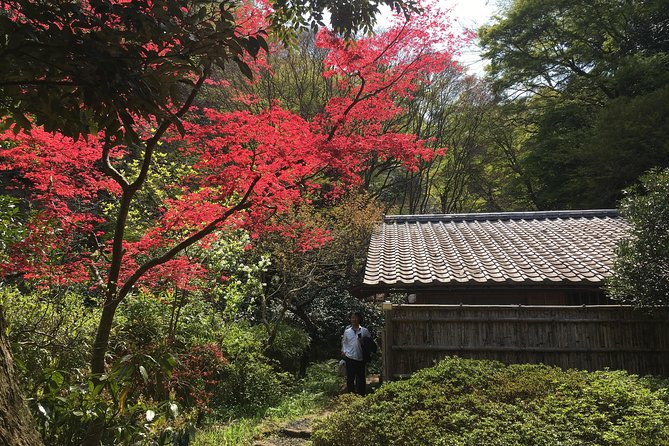 Kamakura Private Walking Tour - Accessibility Information