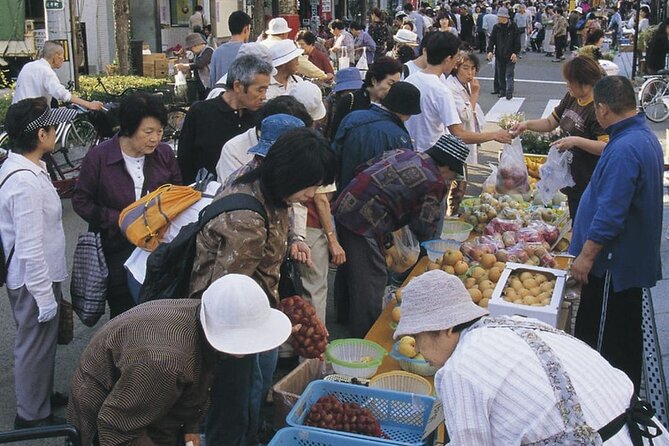 Morioka Full-Day Private Tour With Government-Licensed Guide - Transportation Details