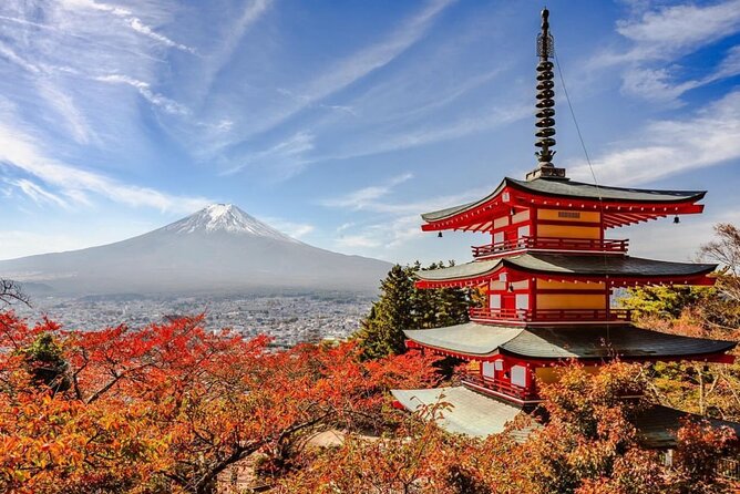 Mt Fuji and Hakone Private Day Tour With English Speaking Driver - Tour Itinerary Highlights