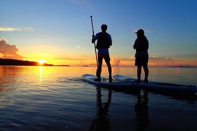 [Okinawa Iriomote] Sunrise SUP/Canoe Tour in Iriomote Island - Pricing and Booking Options