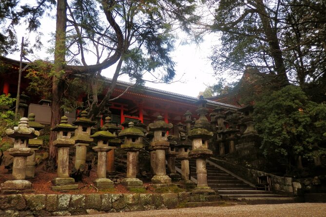 Private Journey in Nara's Historical Wonder - Highlights of the Itinerary