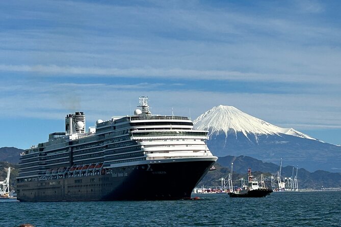 Private Sightseeing Tour in Shimizu Port by Sedan Taxis - Meeting and Ending Points