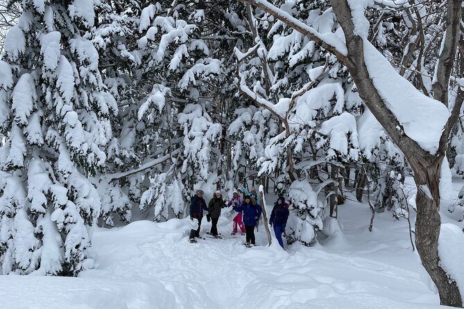 Private Snow Shoe Tour in Shiretoko National Park - Physical Requirements for Participants