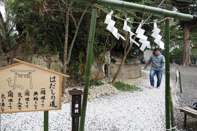 Rural Japan Cycling Tour to the Rich Nature Area in Ichinomiya - Whats Included in the Tour